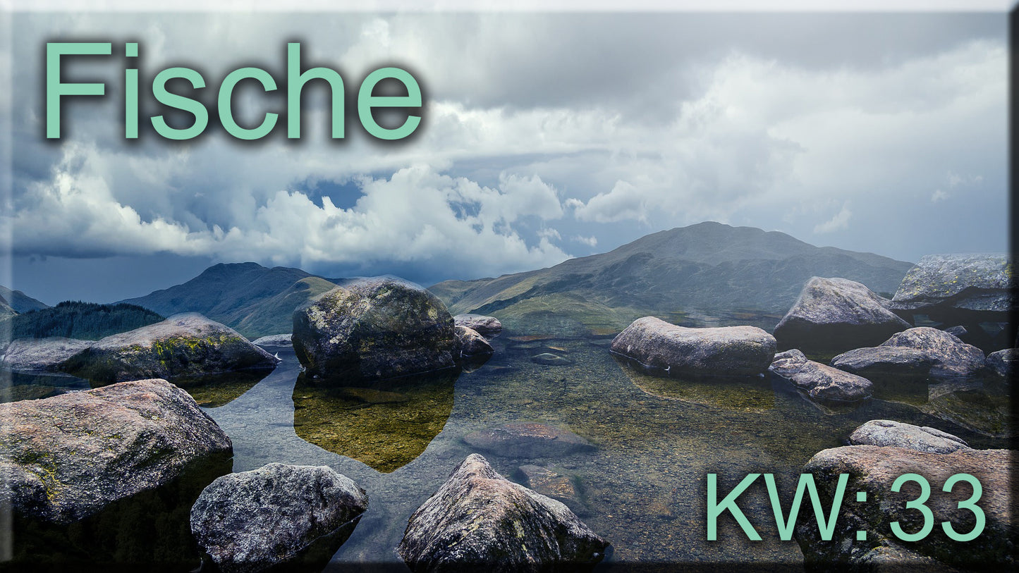 ♓ Fische - KW 33 ♓