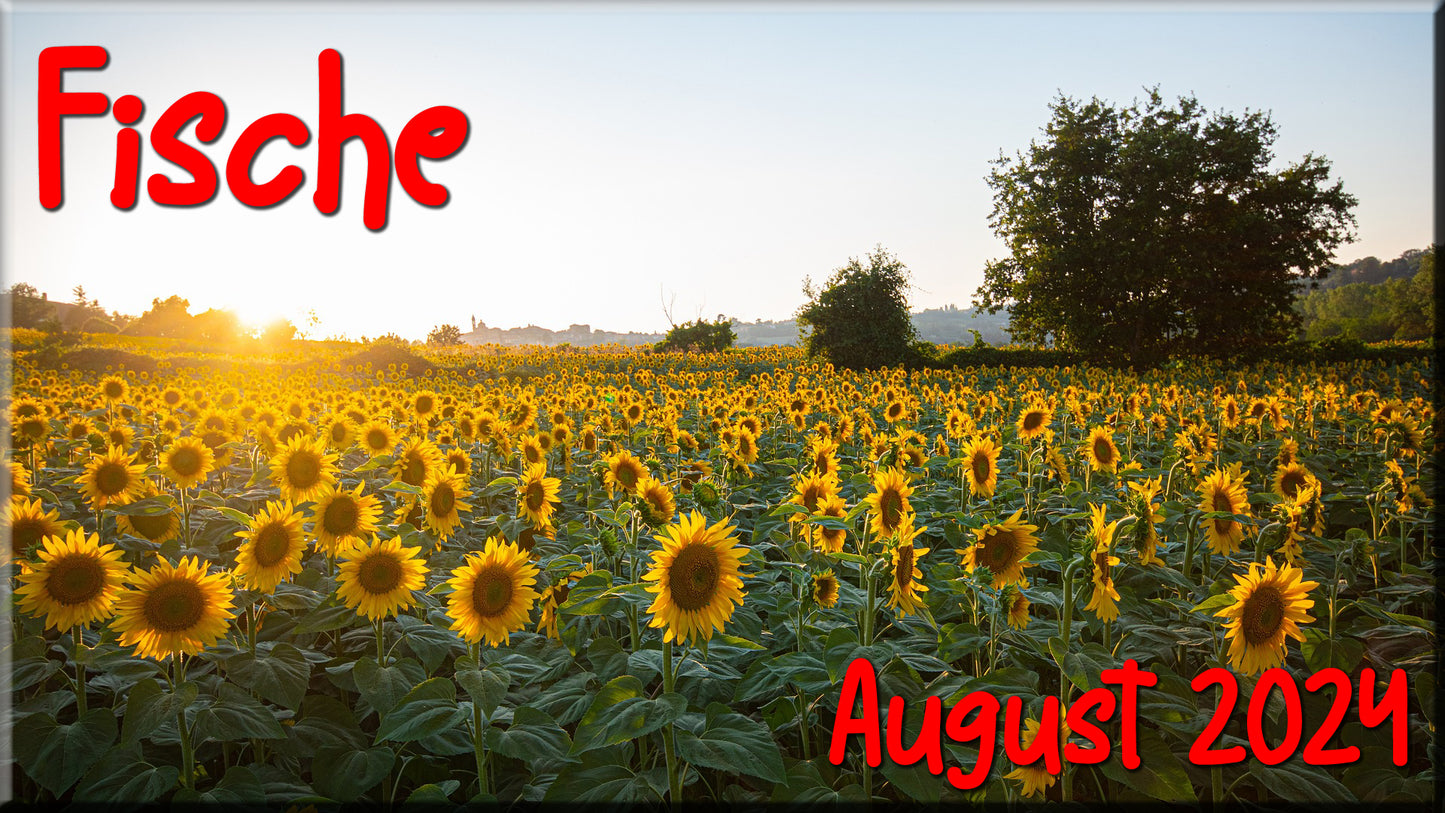 ♓ Fische - August 2024 ♓