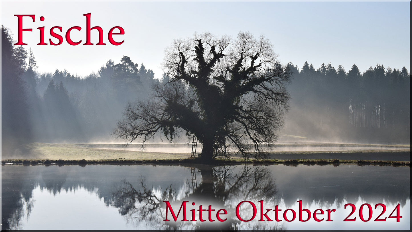 ♓ Fische - Mitte Oktober 2024 ♓