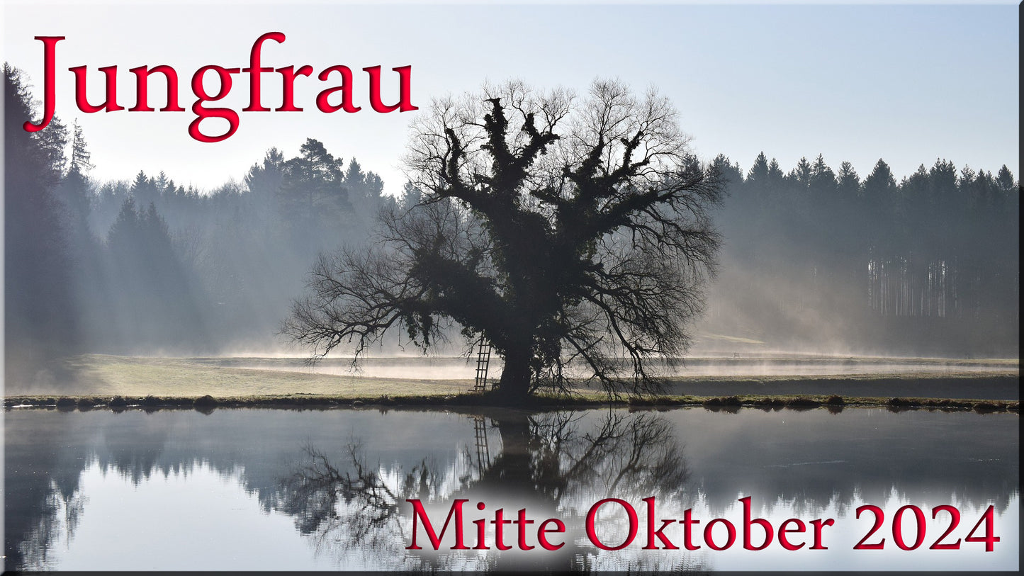 ♍ Jungfrau - Mitte Oktober 2024 ♍
