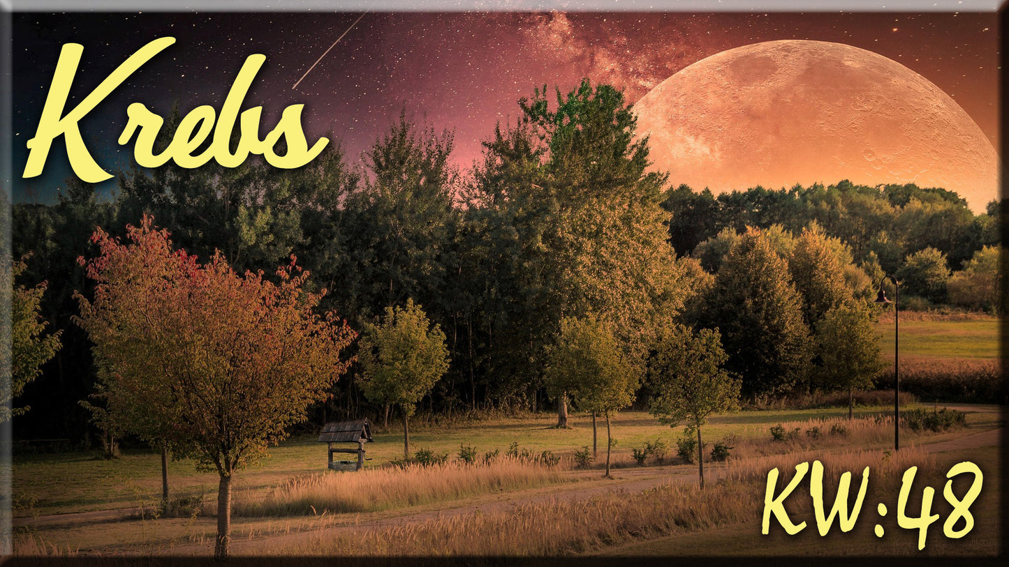 ♋ Krebs - KW 48 ♋