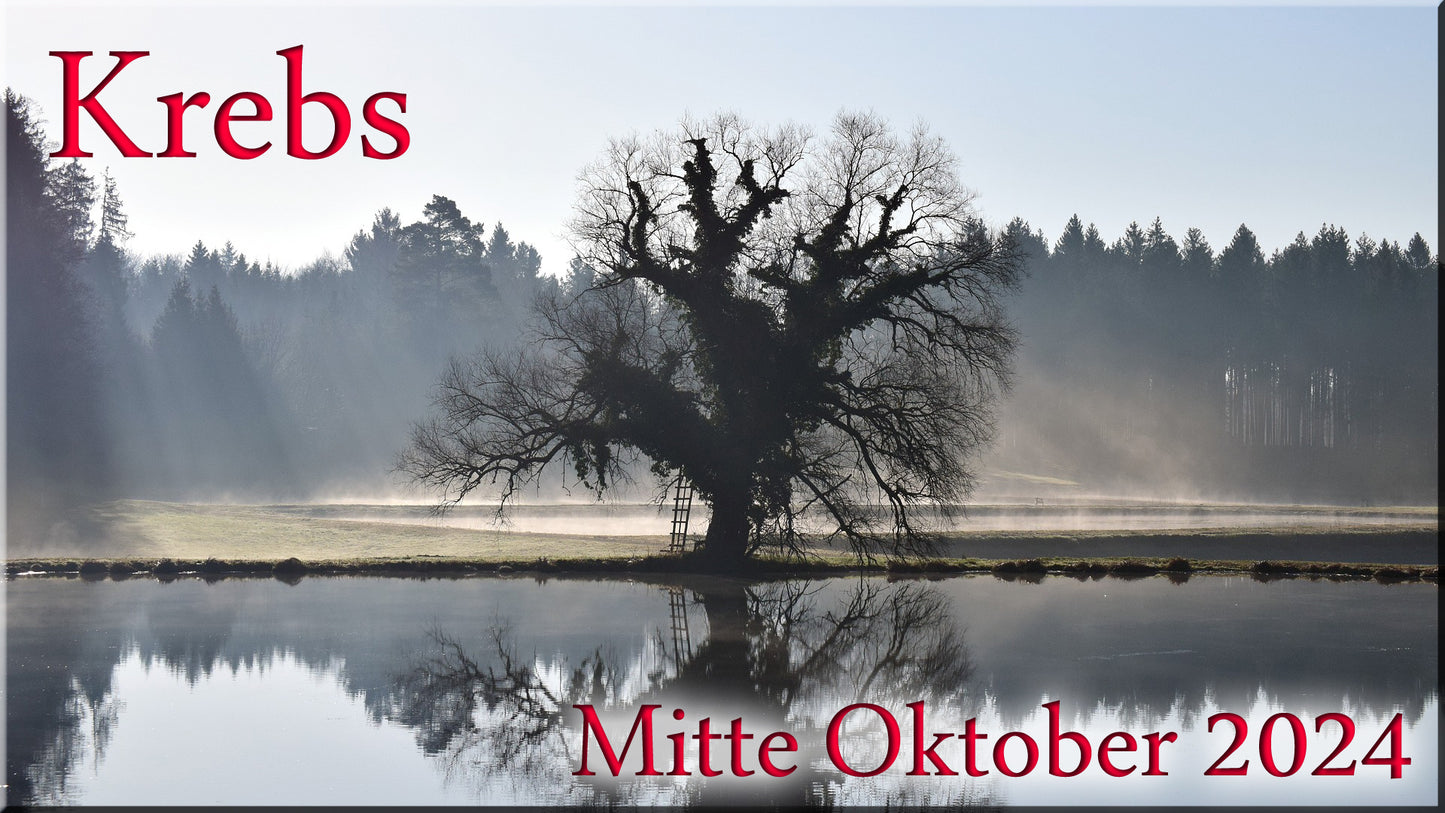 ♋ Krebs - Mitte Oktober 2024 ♋