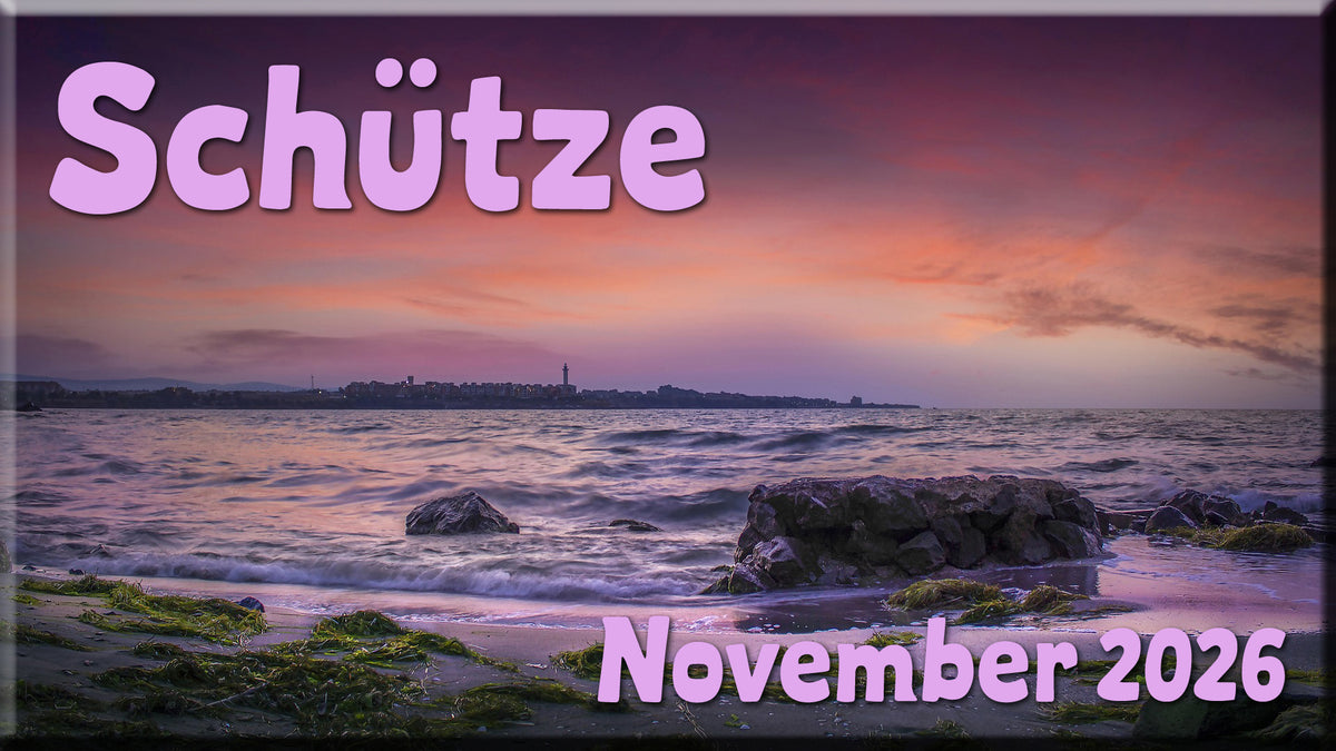 ♐ Schütze - November 2026 ♐