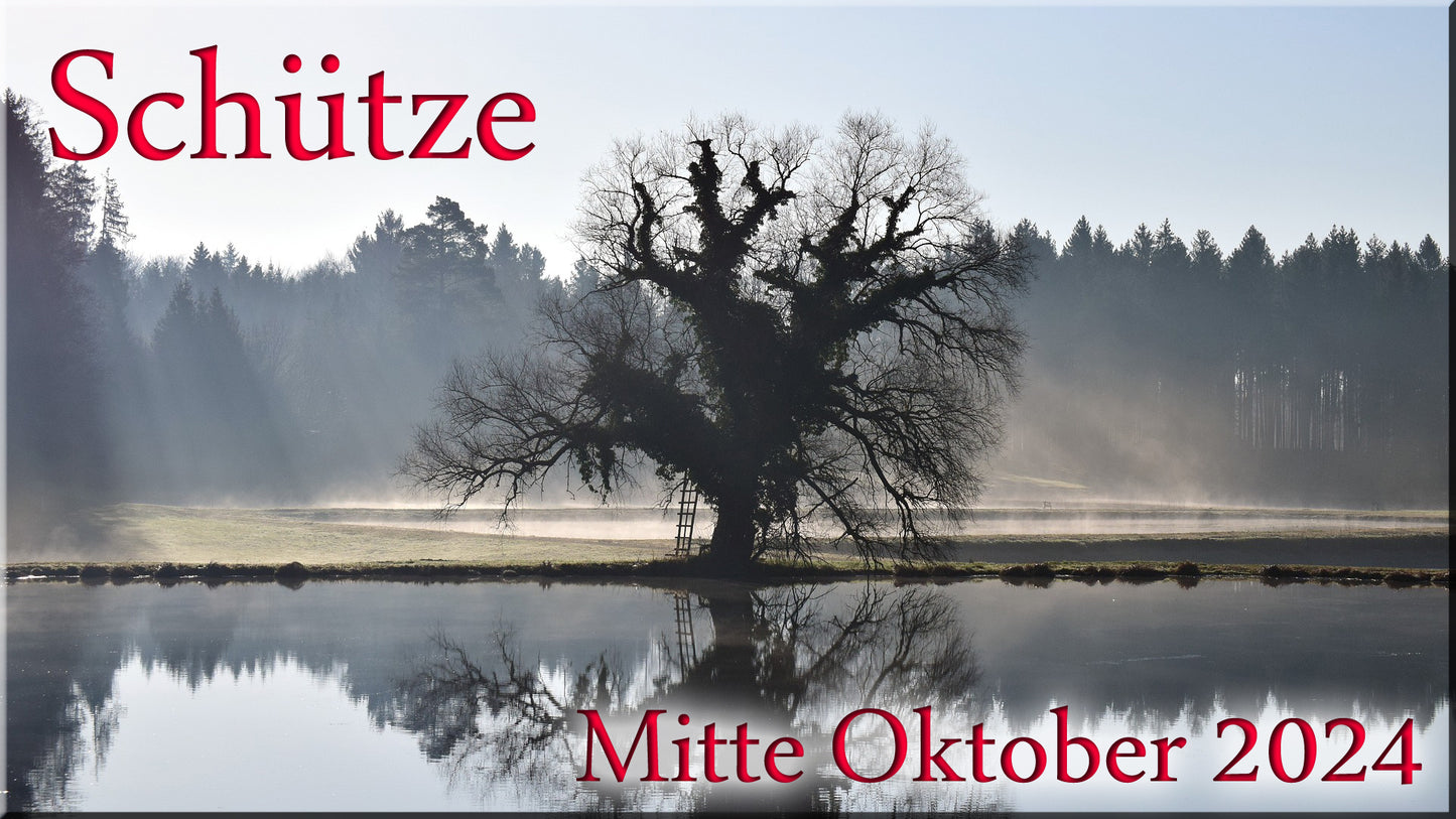 ♐ Schütze - Mitte Oktober 2024 ♐