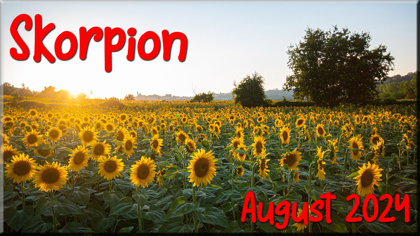 ♏ Skorpion - August 2024 ♏