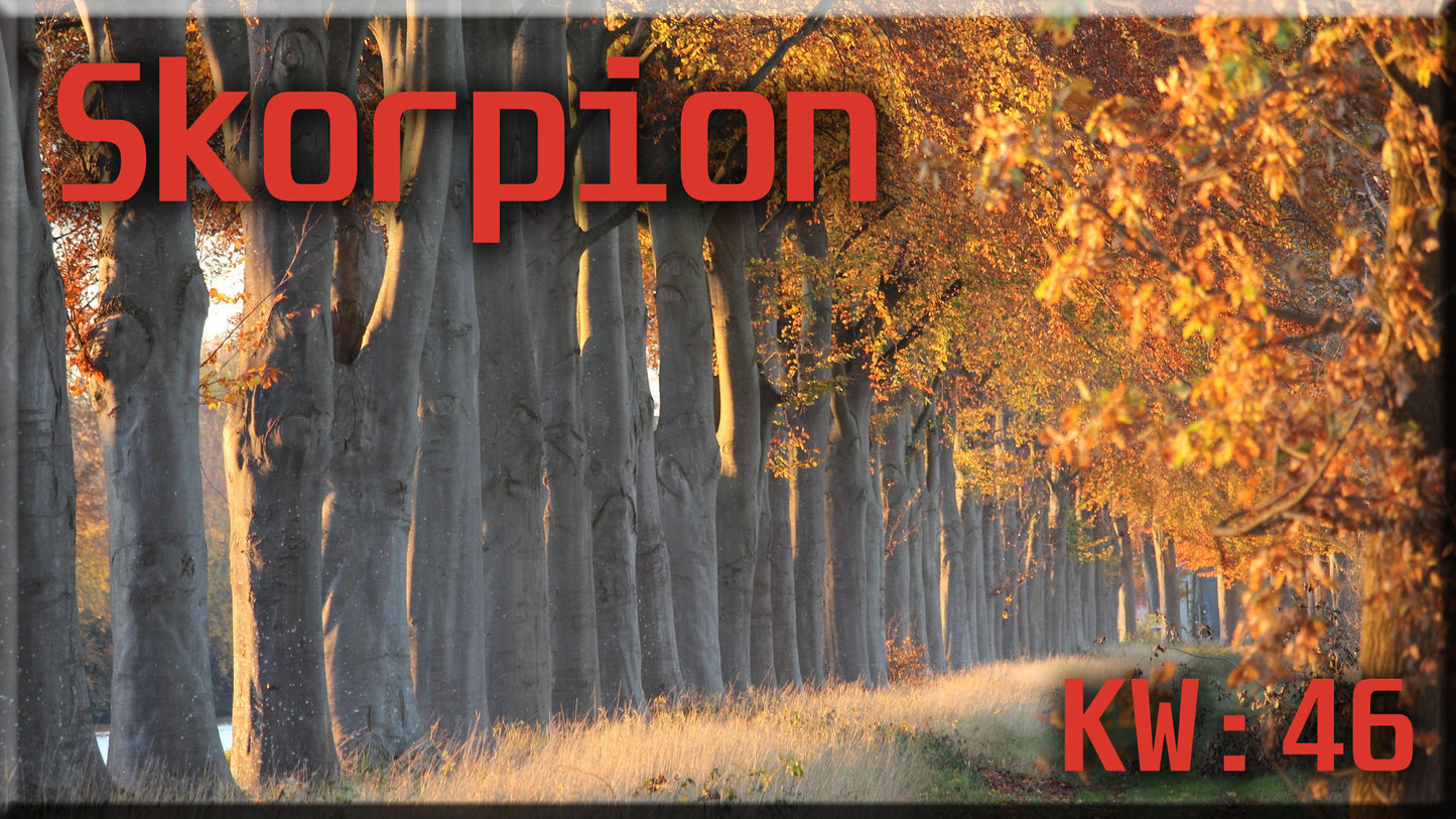 ♏ Skorpion - KW 46 ♏