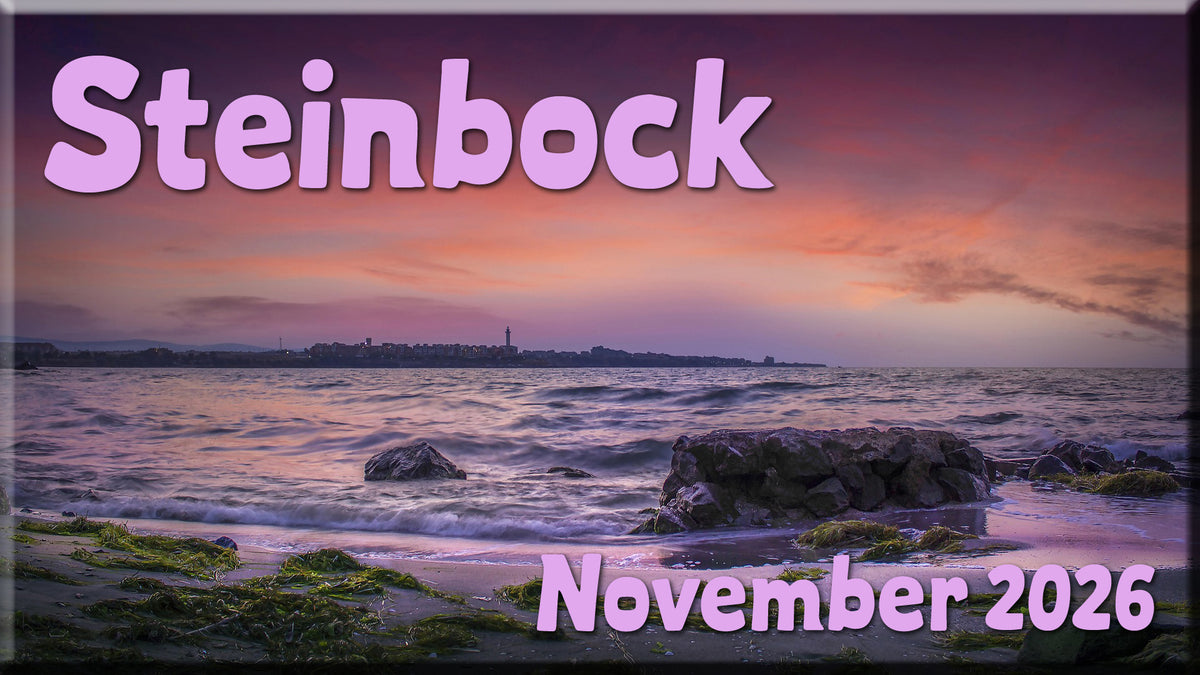 ♑ Steinbock - November 2026 ♑