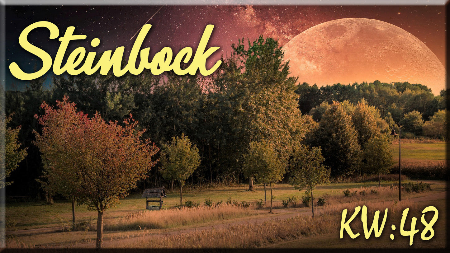 ♑ Steinbock - KW 48 ♑