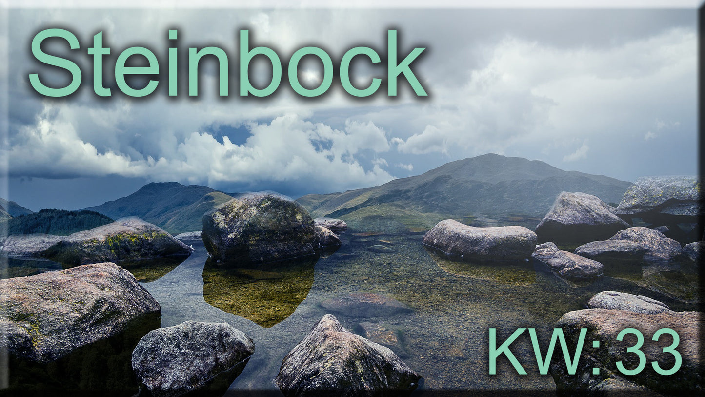 ♑ Steinbock - KW 33 ♑