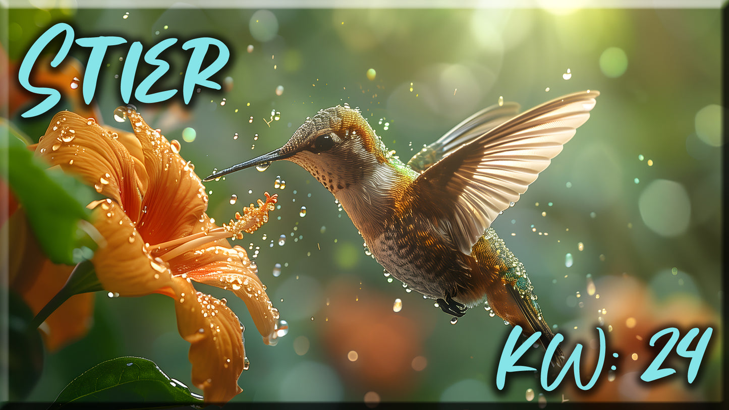 ♉ Stier - KW 24 ♉