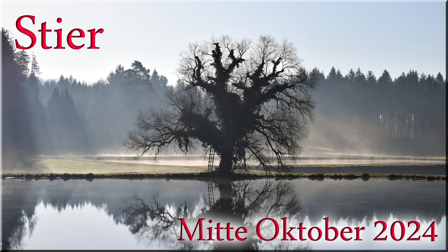 ♉ Stier - Mitte Oktober 2024 ♉