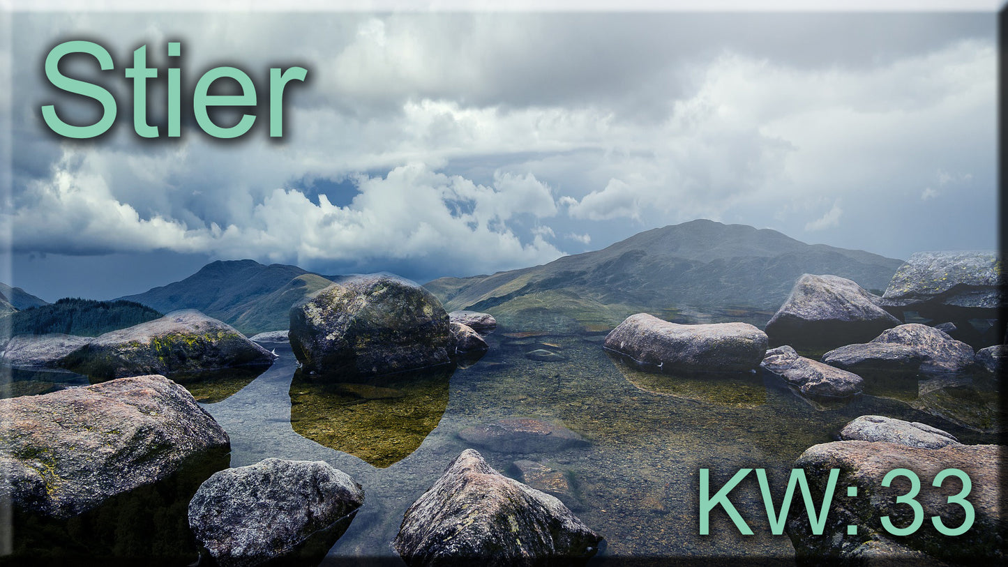 ♉ Stier - KW 33 ♉