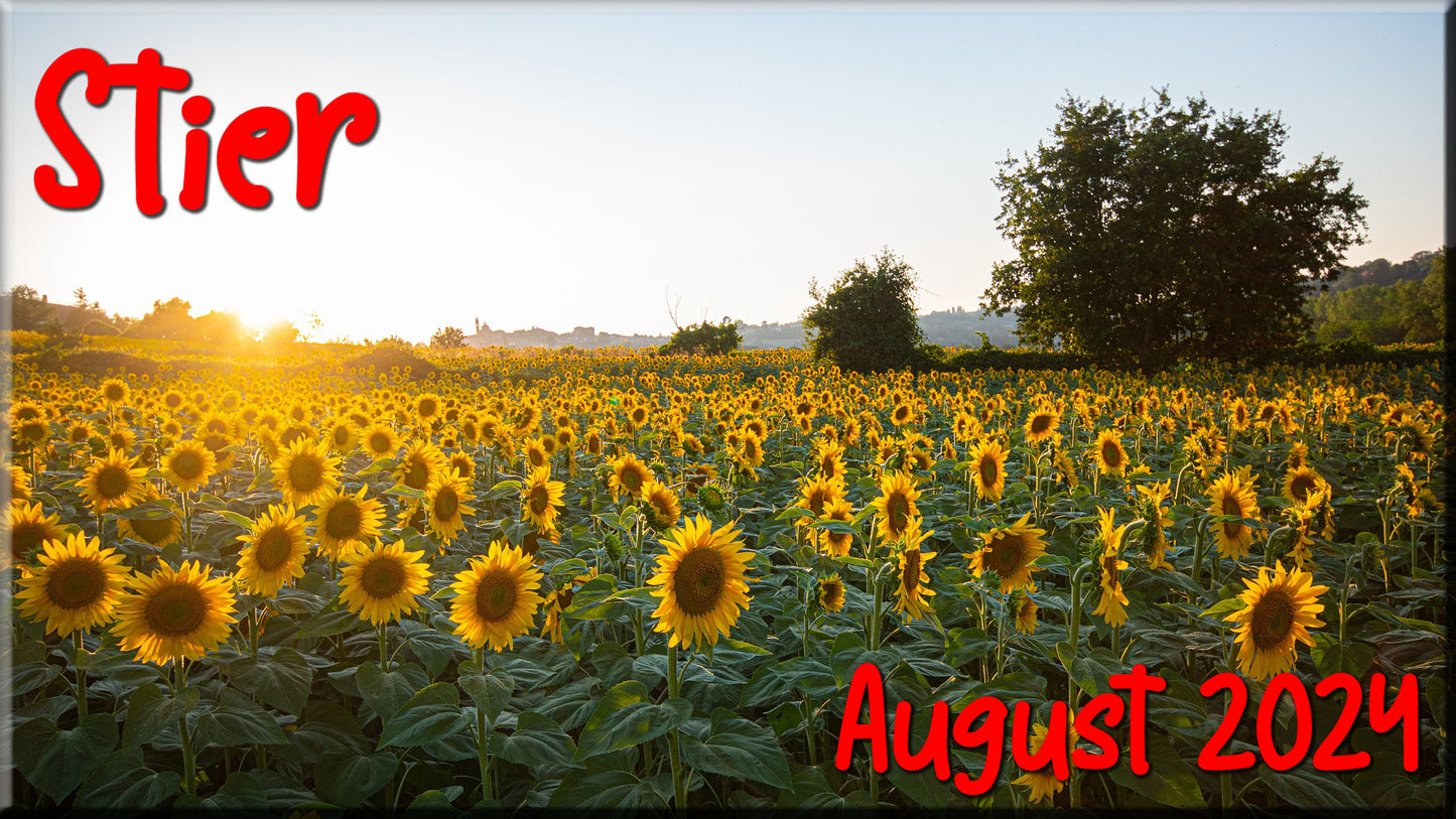 ♉ Stier - August 2024 ♉