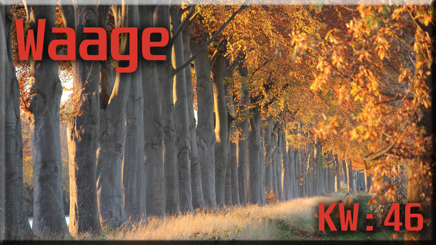 ♎ Waage - KW 46 ♎