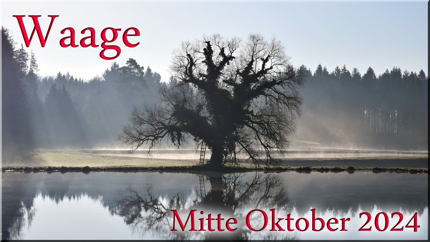 ♎ Waage - Mitte Oktober 2024 ♎