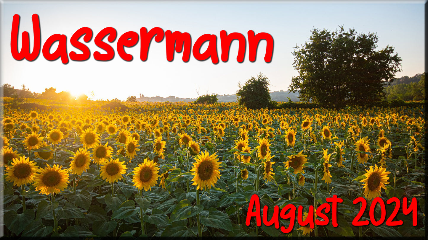 ♒ Wassermann - August 2024 ♒