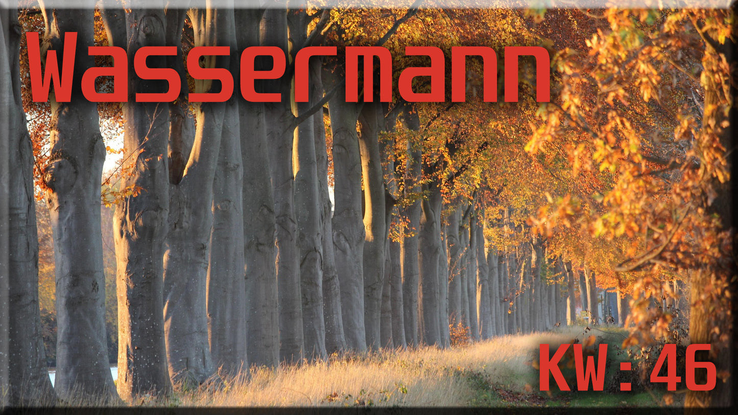 ♒ Wassermann - KW 46 ♒