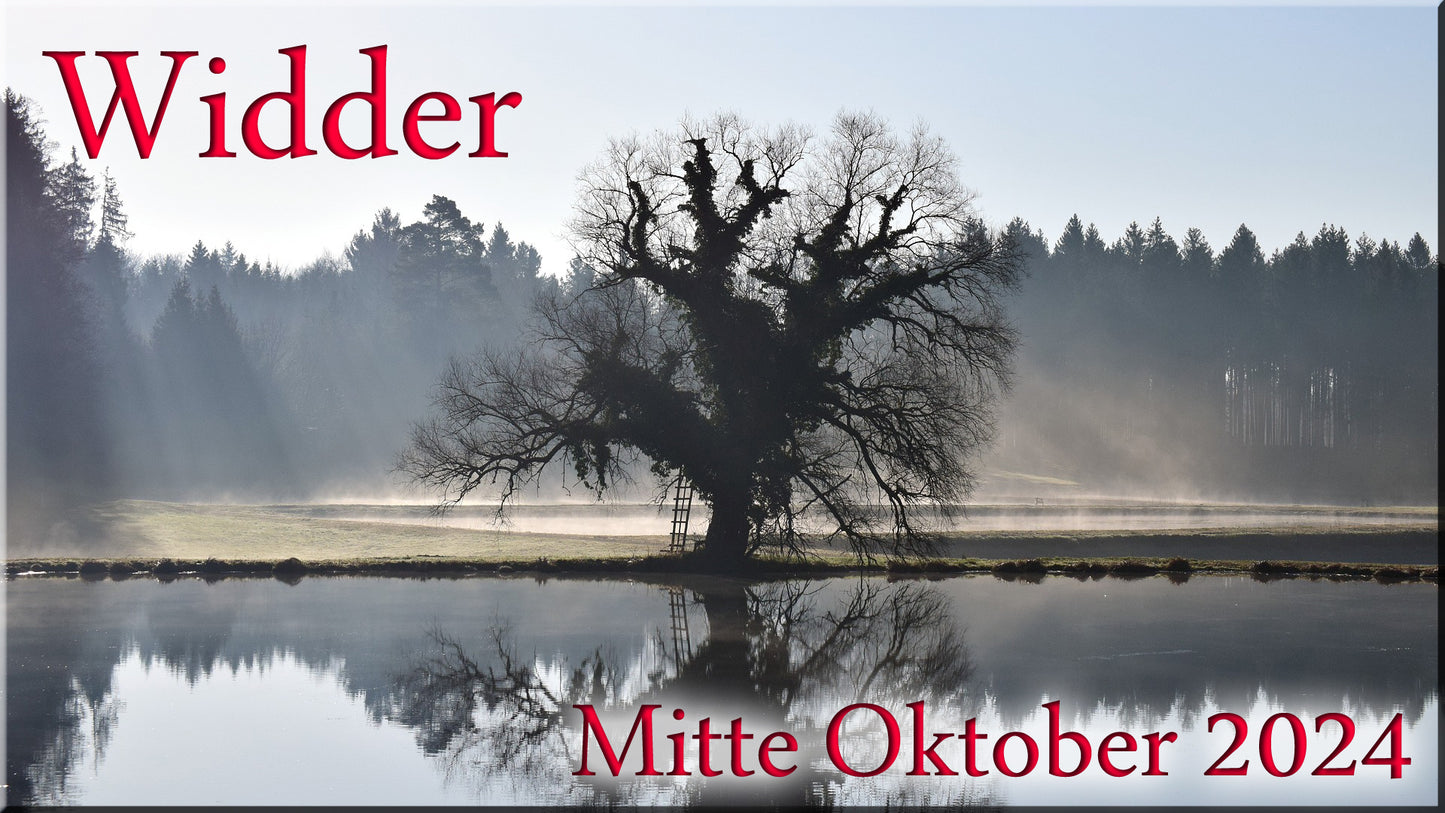 ♈ Widder - Mitte Oktober 2024 ♈