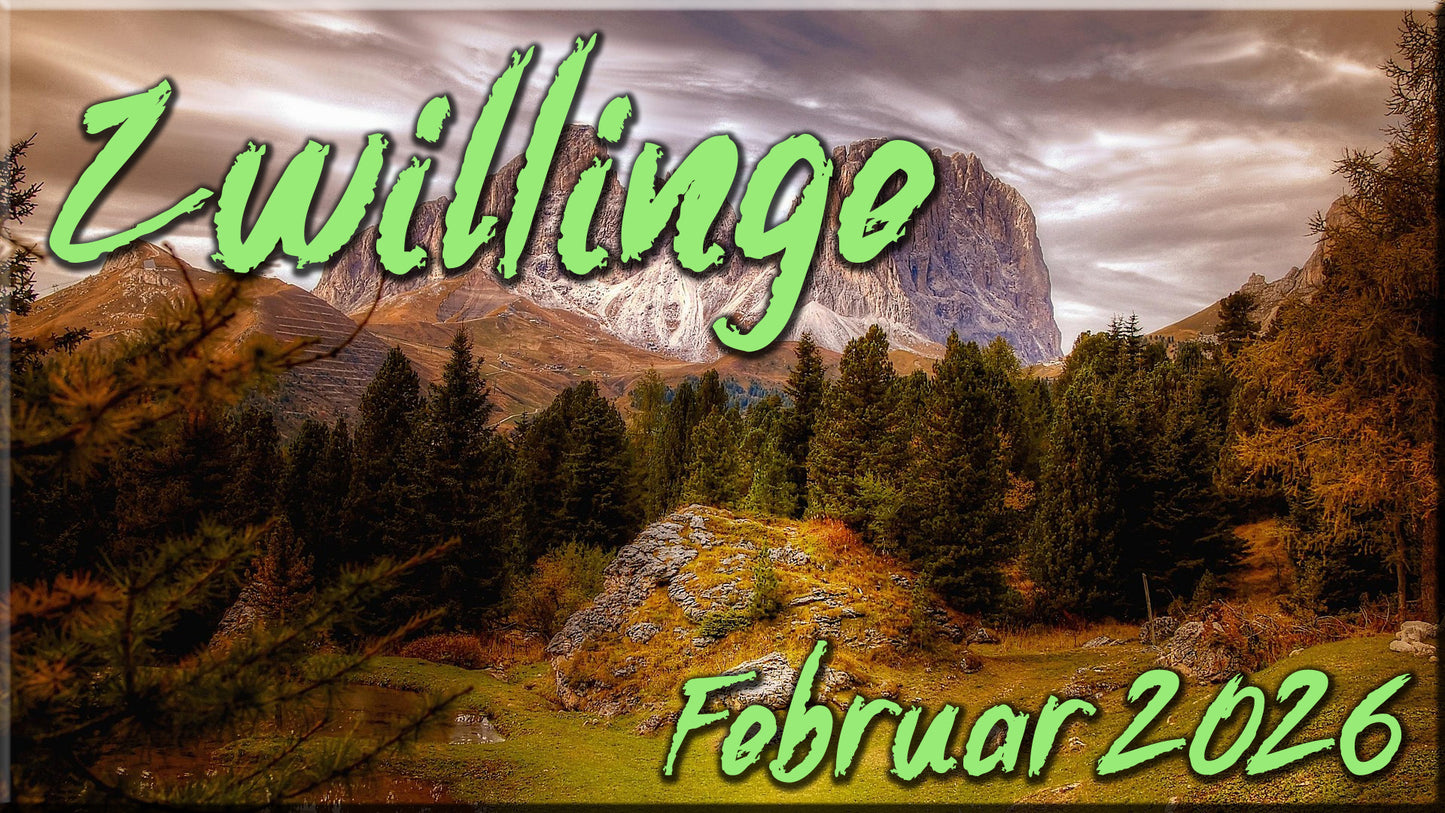 ♊ Zwillinge - Februar 2026 ♊