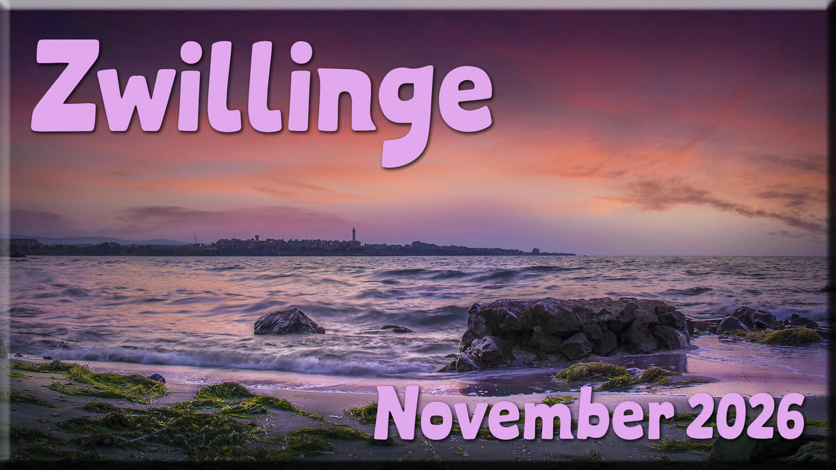 ♊ Zwillinge - November 2026 ♊