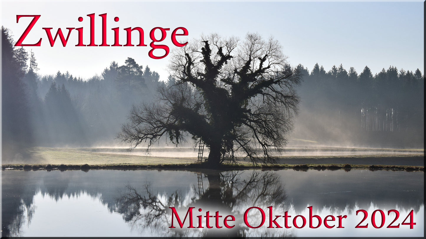 ♊ Zwillinge - Mitte Oktober 2024 ♊