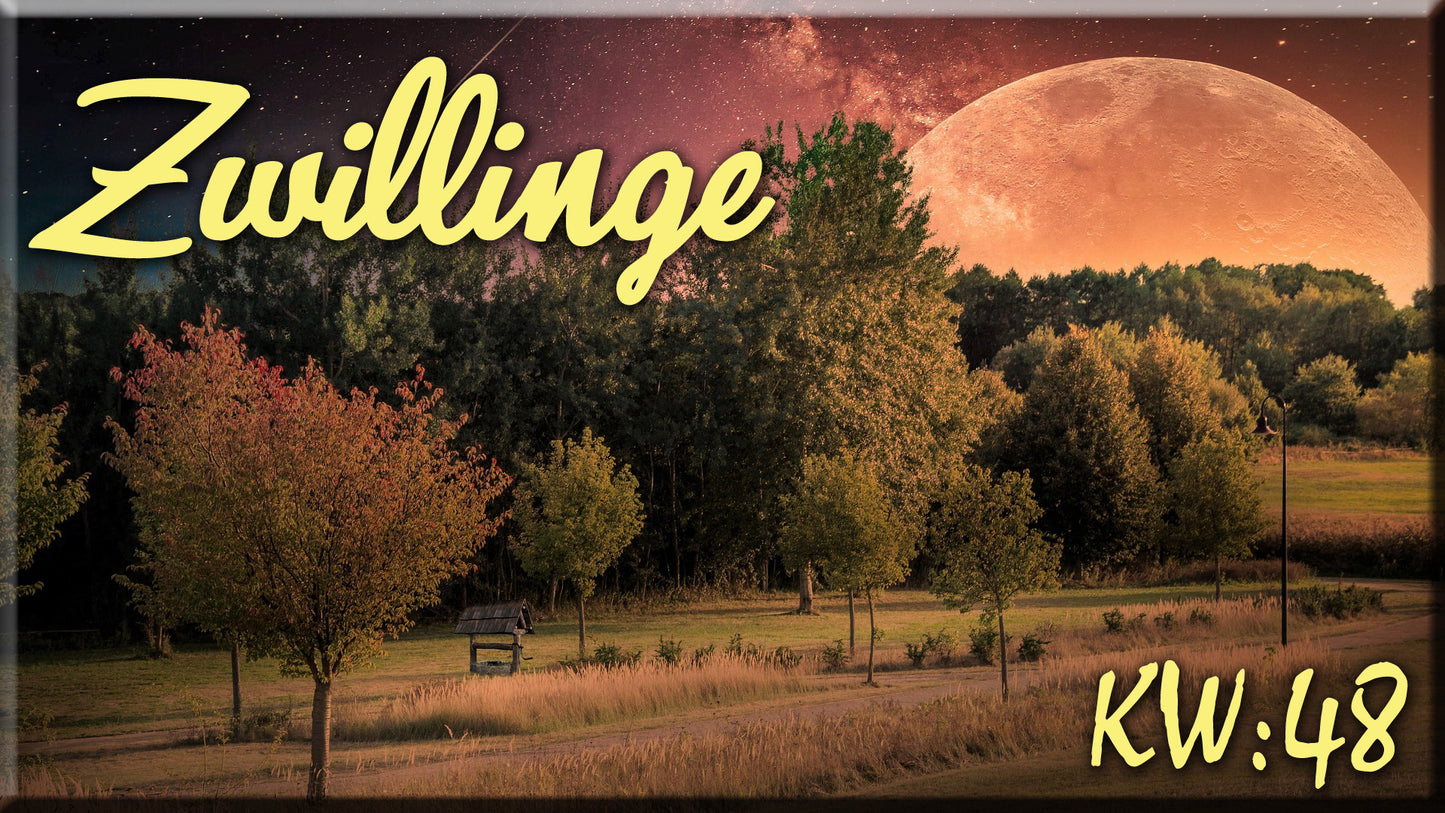 ♊ Zwillinge - KW 48 ♊