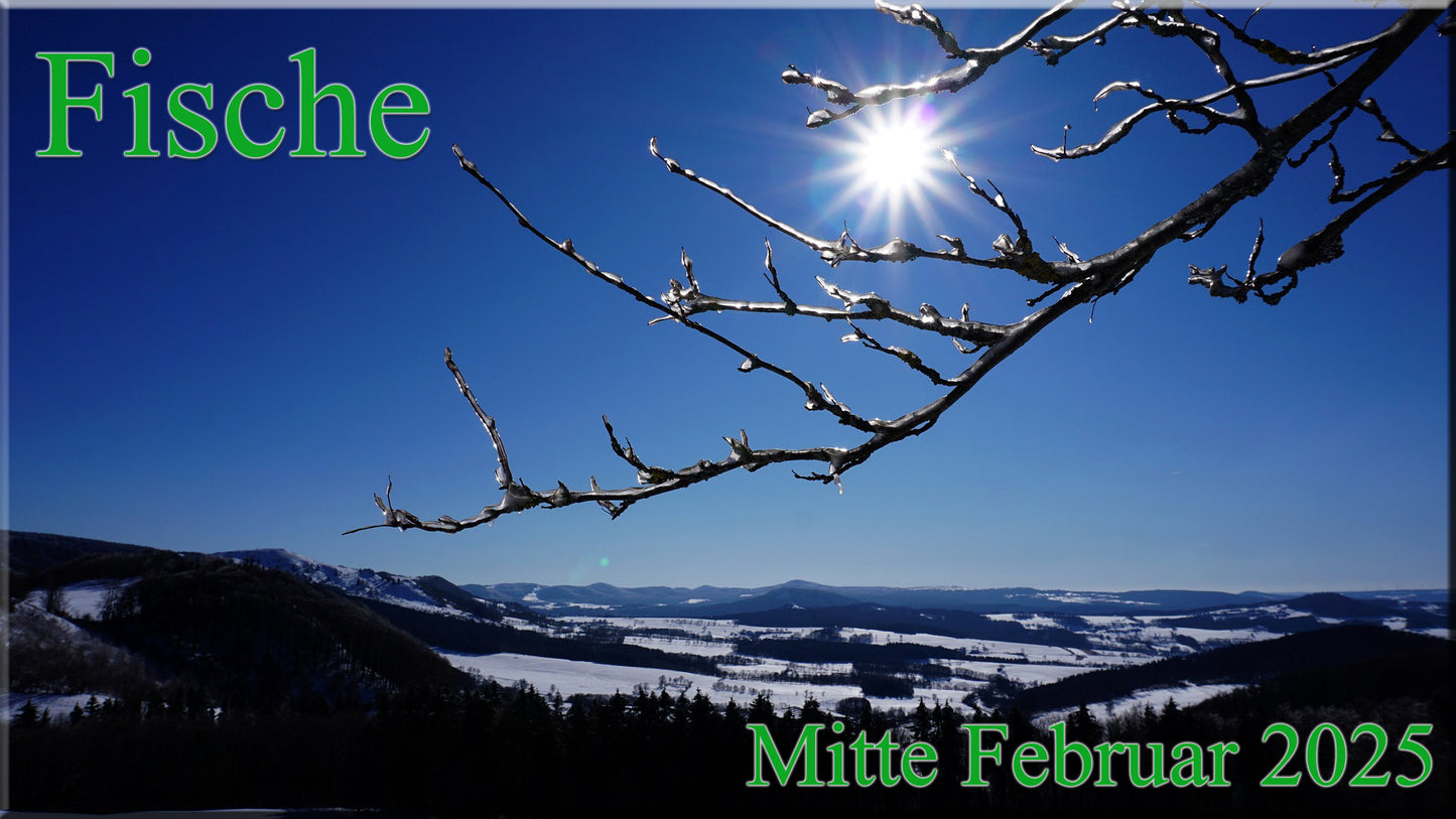 ♓ Fische - Mitte Februar 2025 ♓