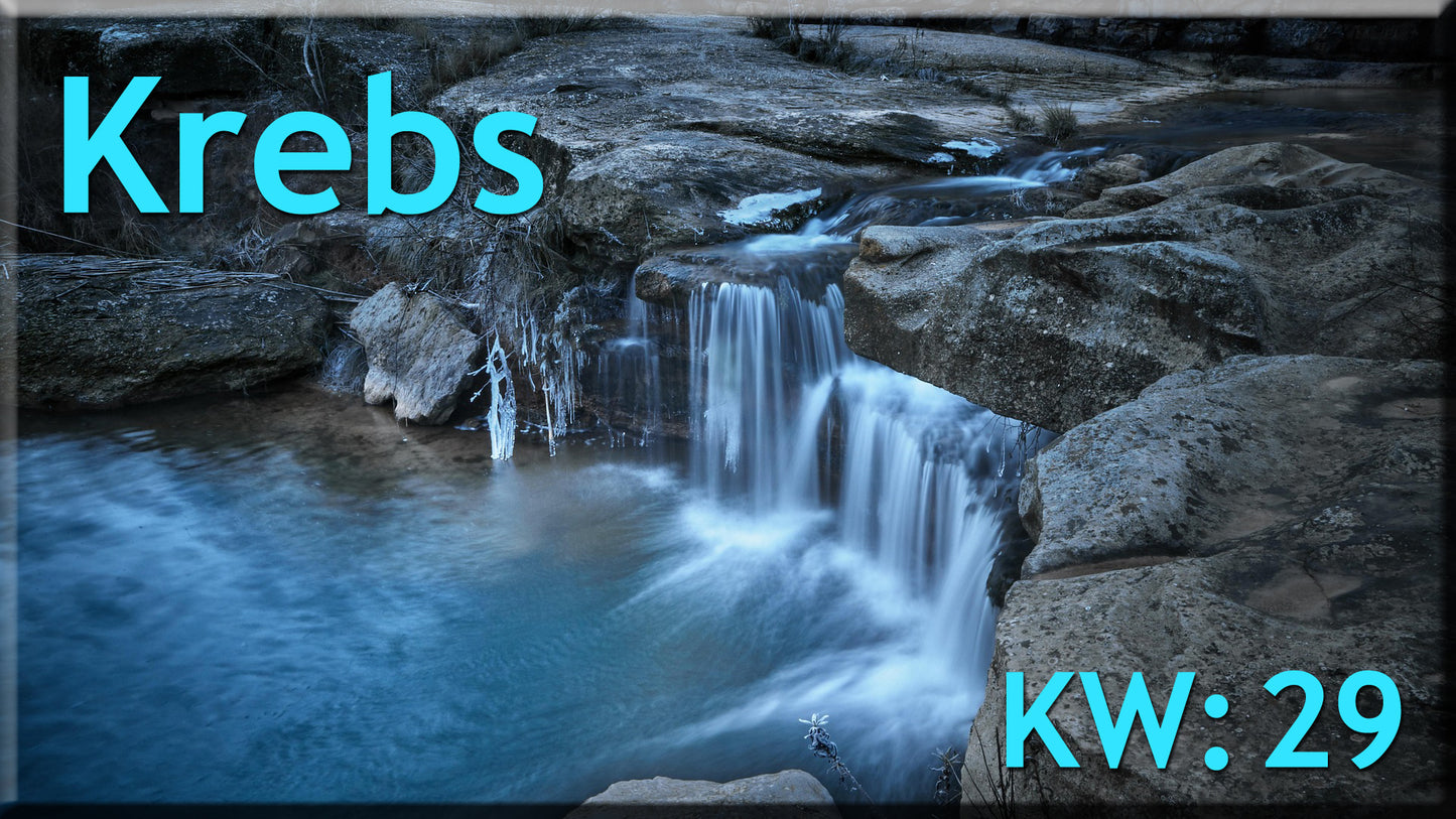 ♋ Krebs - KW 29 ♋