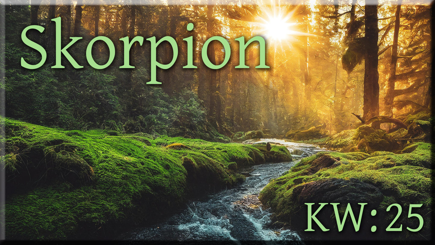 ♏ Skorpion - KW 25 ♏