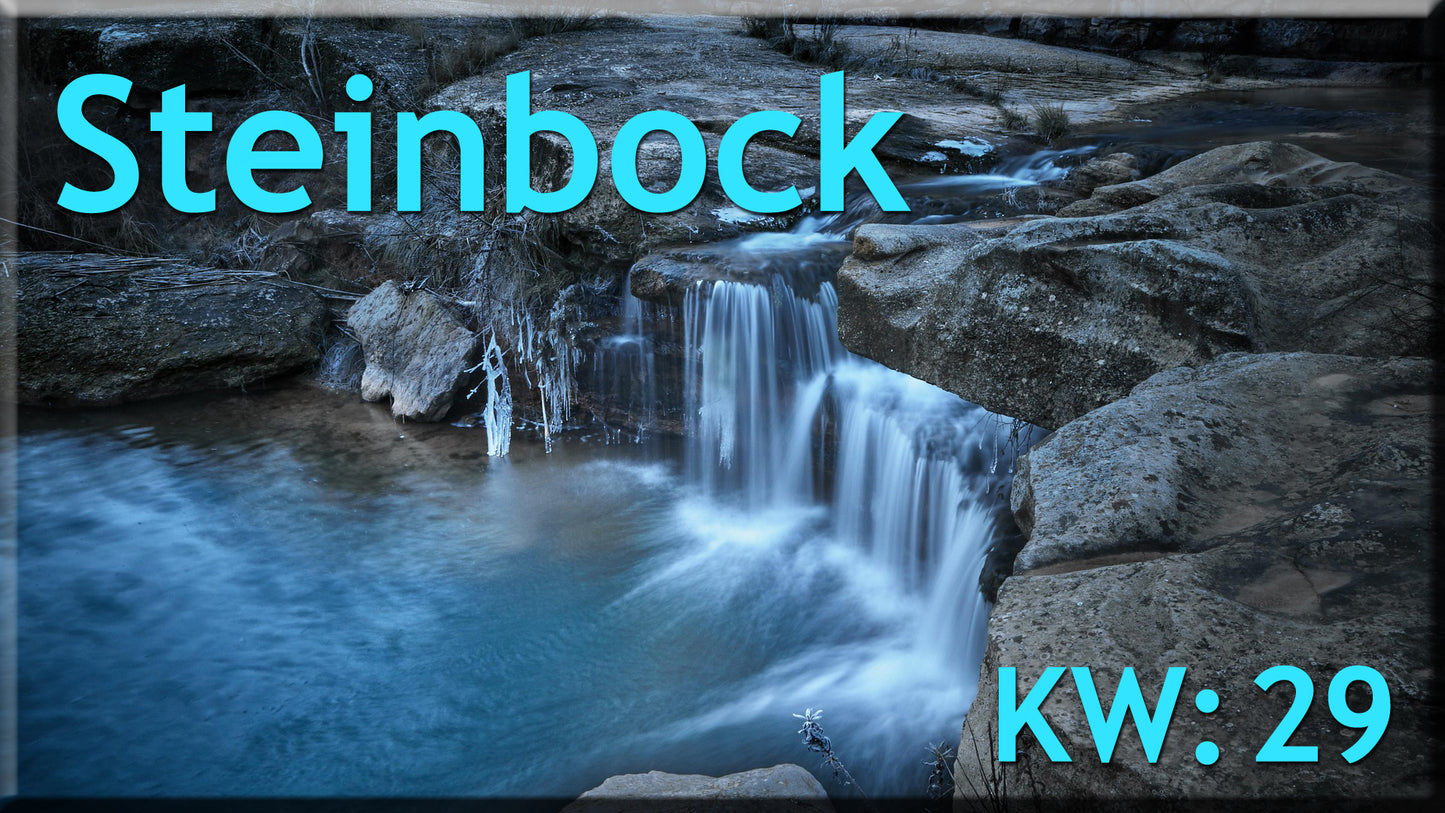 ♑ Steinbock - KW 29 ♑