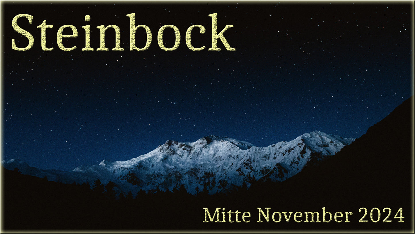 ♑ Steinbock - Mitte November 2024 ♑