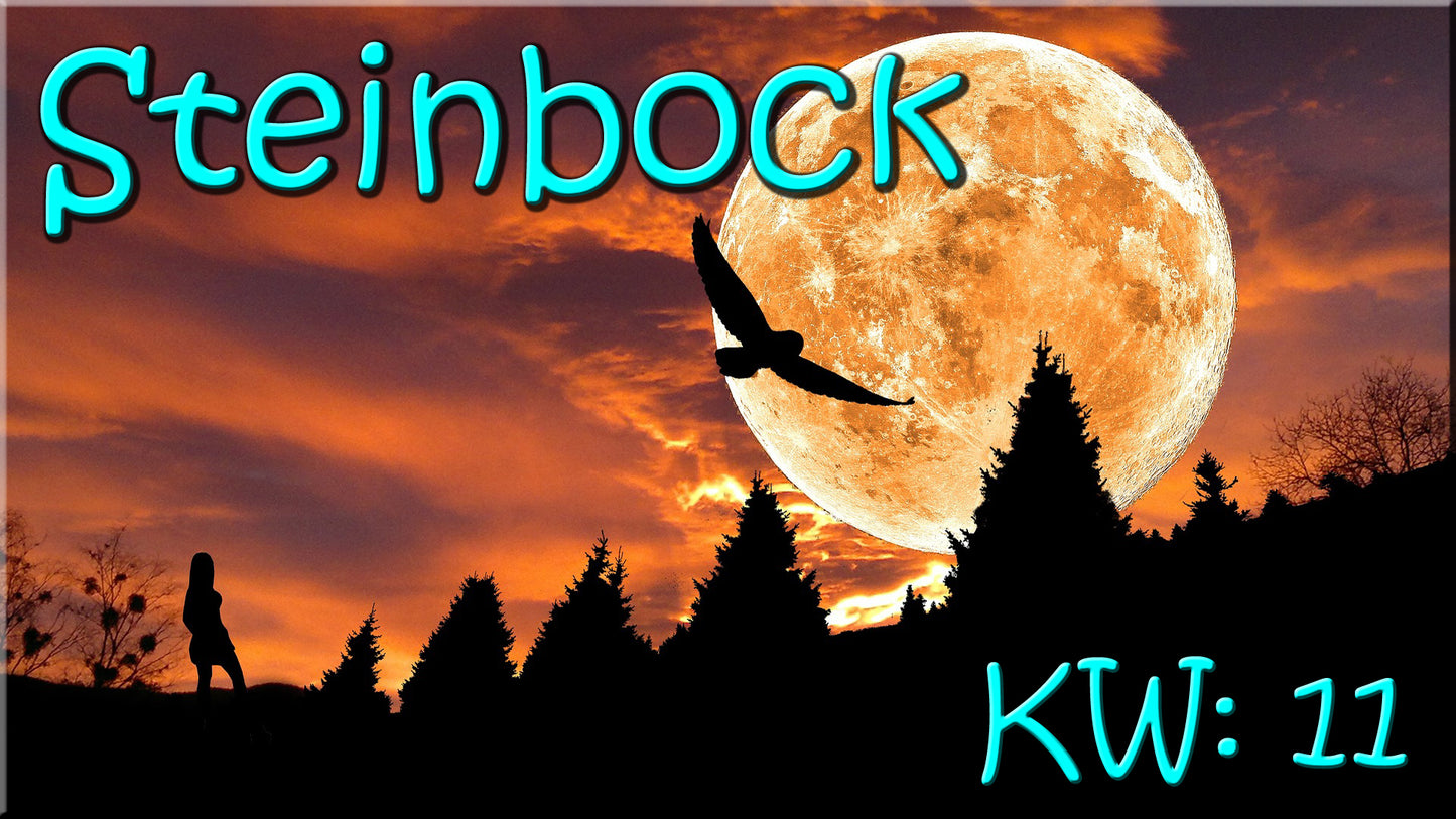 ♑ Steinbock - KW 11 ♑