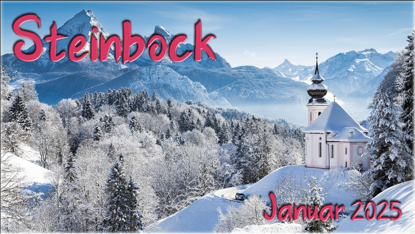 ♑ Steinbock - Januar 2025 ♑