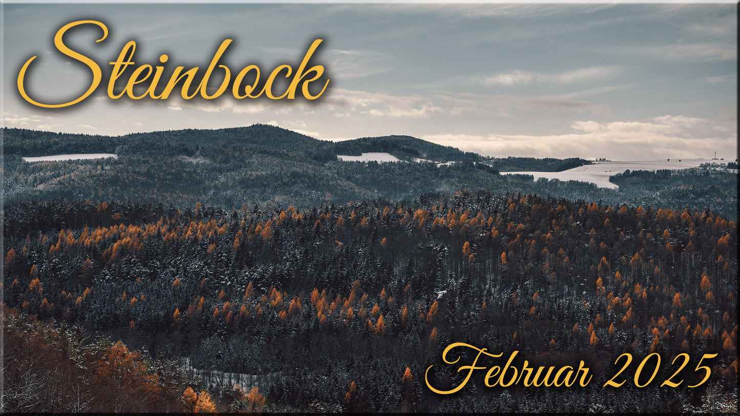♑ Steinbock - Februar 2025 ♑