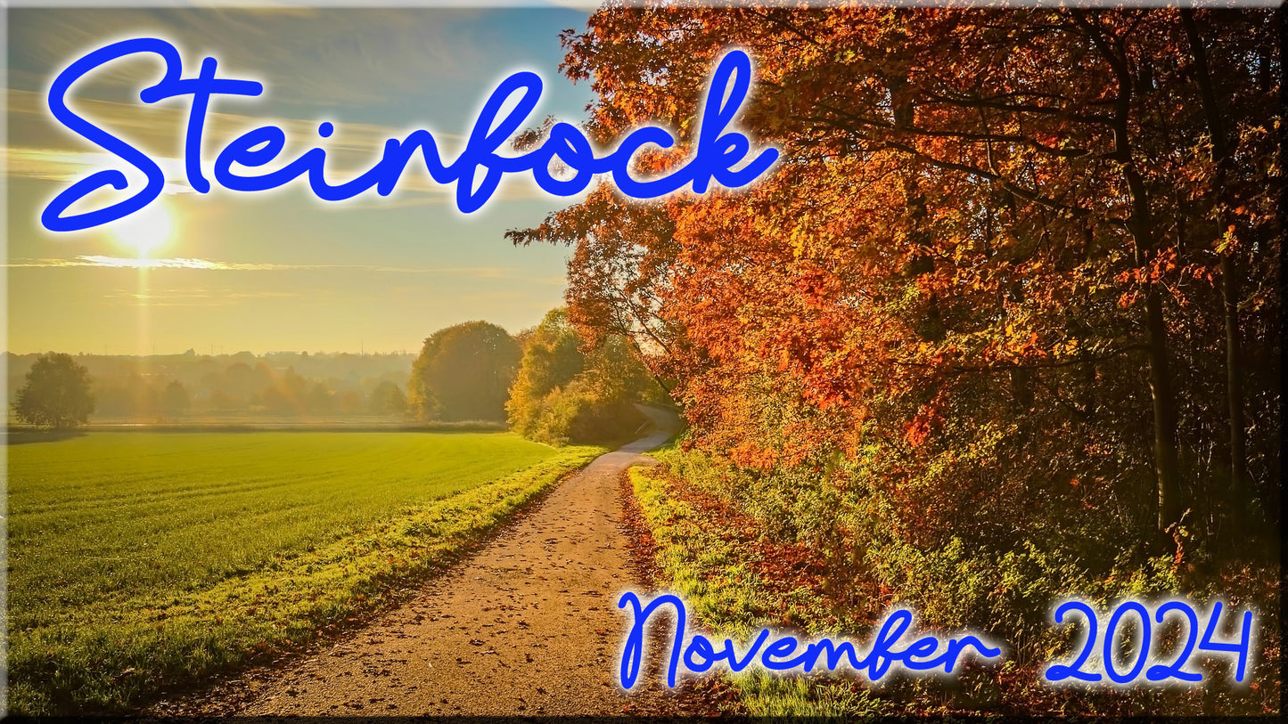 ♑ Steinbock - November 2024 ♑