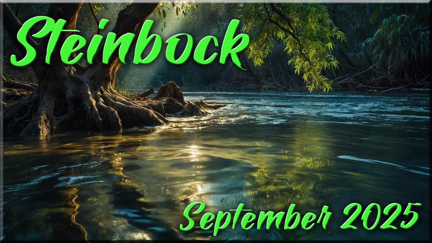 ♑ Steinbock - September 2025 ♑