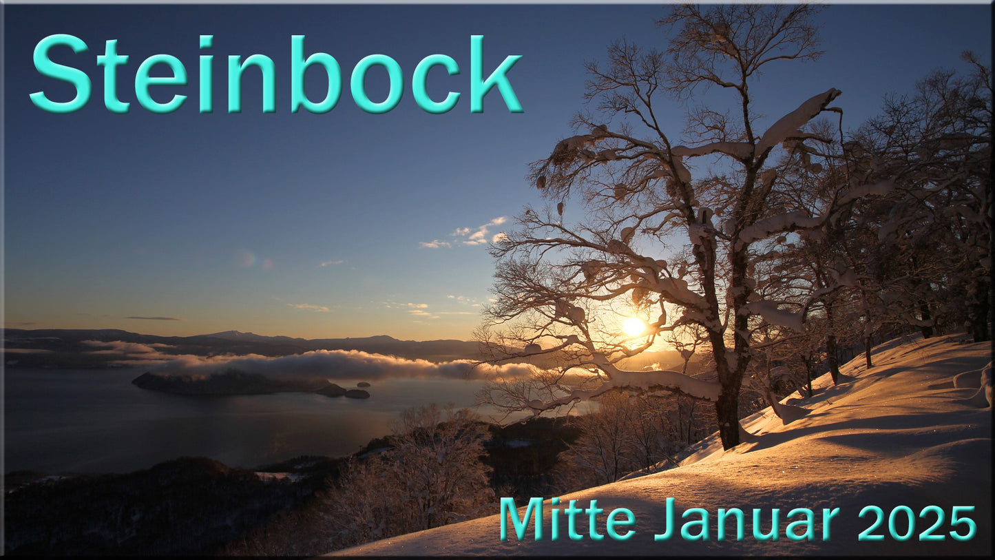 ♑ Steinbock - Mitte Januar 2025 ♑