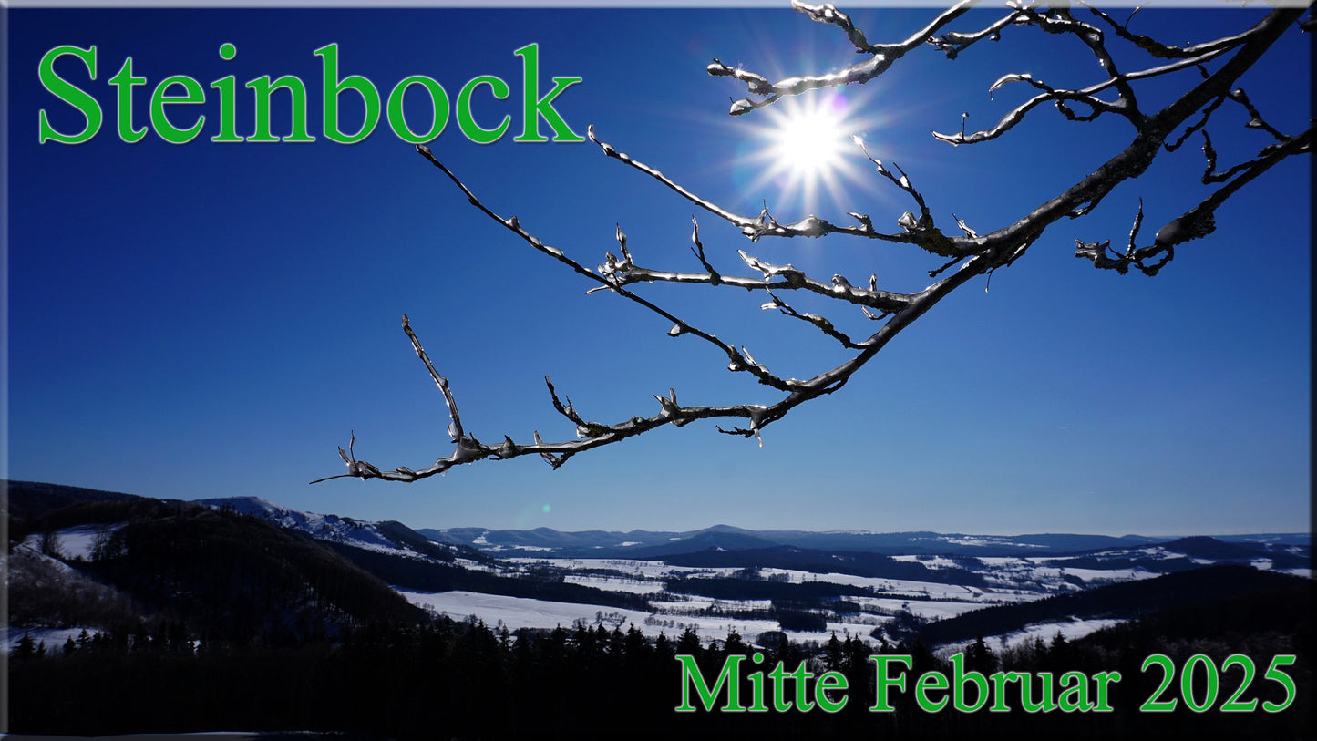 ♑ Steinbock - Mitte Februar 2025 ♑