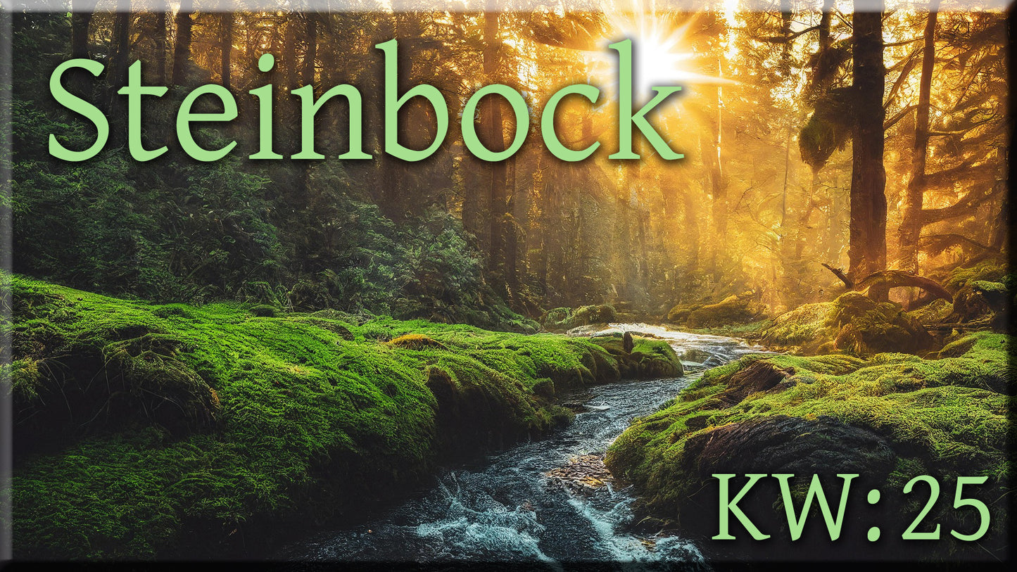 ♑ Steinbock - KW 25 ♑