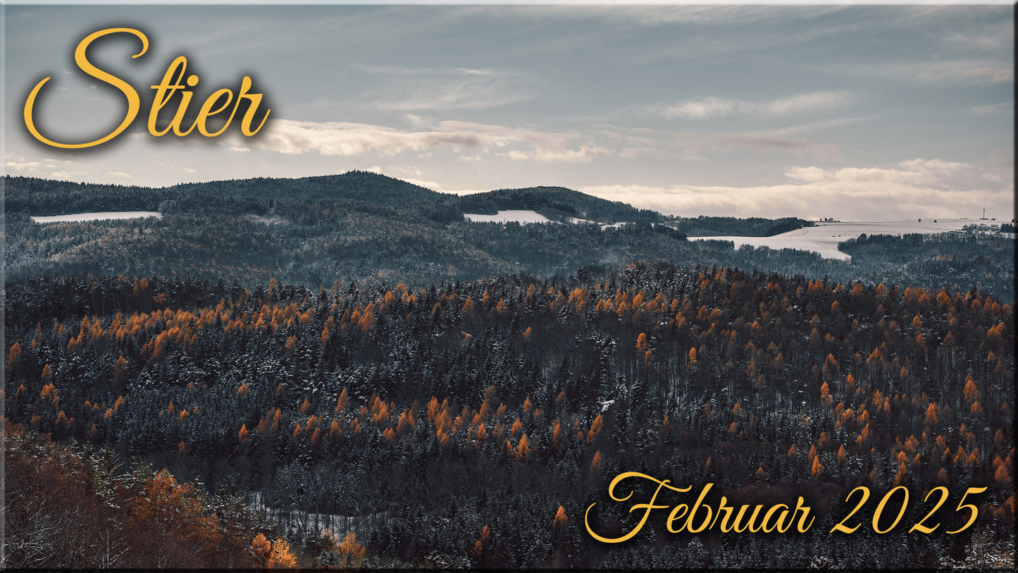 ♉ Stier - Februar 2025 ♉