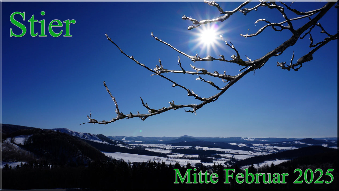 ♉ Stier- Mitte Februar 2025 ♉