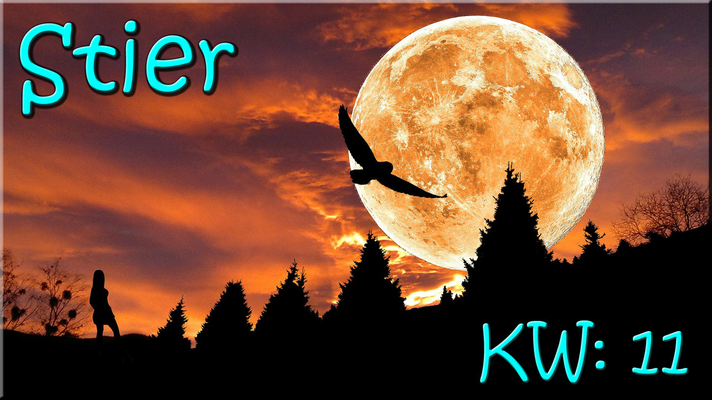 ♉ Stier - KW 11 ♉