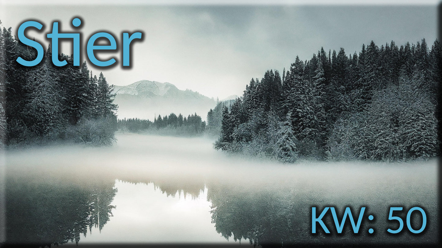 ♉ Stier - KW 50 ♉