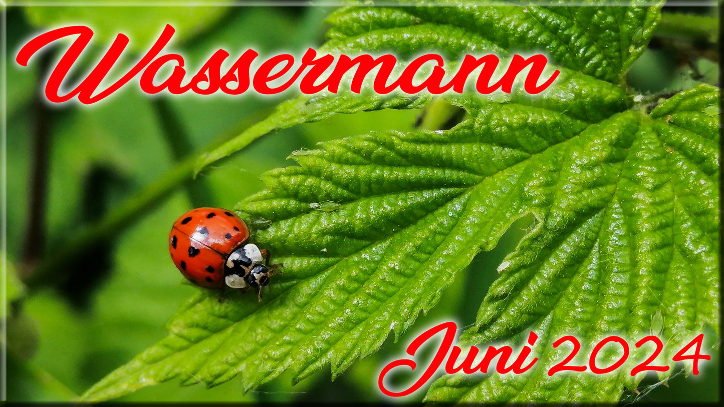 ♒ Wassermann - Juni 2024 ♒