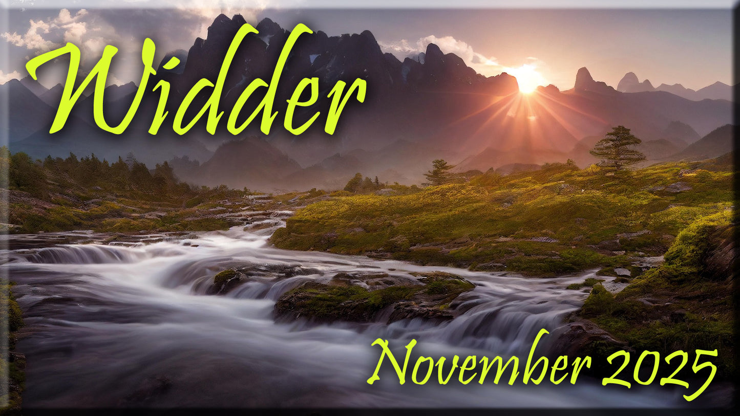 ♈ Widder - November 2025 ♈