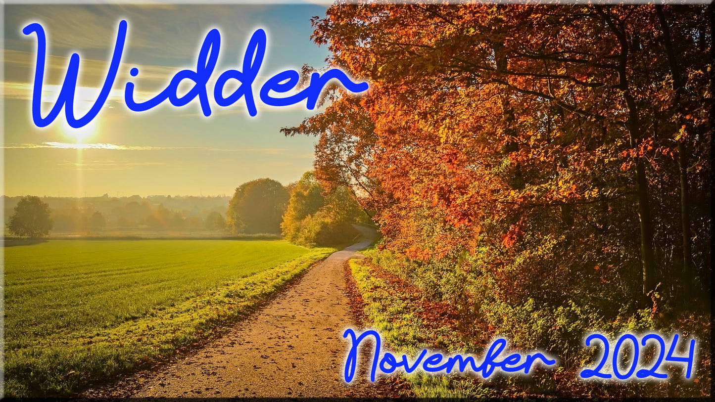 ♈ Widder - November 2024 ♈