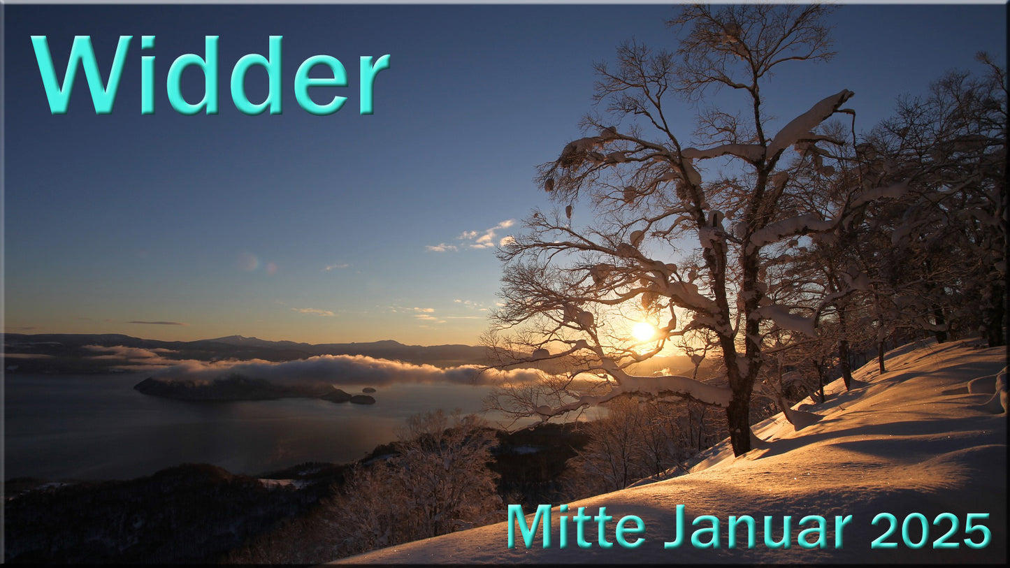 ♈ Widder - Mitte Januar 2025 ♈