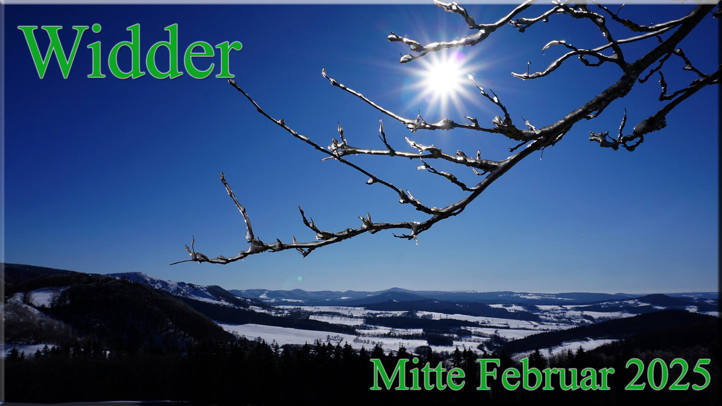 ♈ Widder - Mitte Februar 2025 ♈