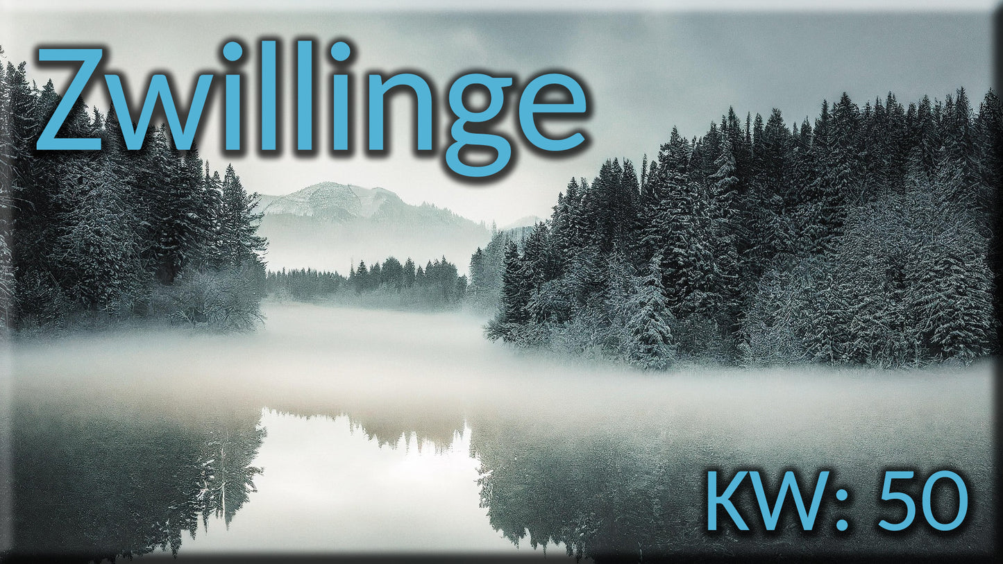 ♊ Zwillinge - KW 50 ♊