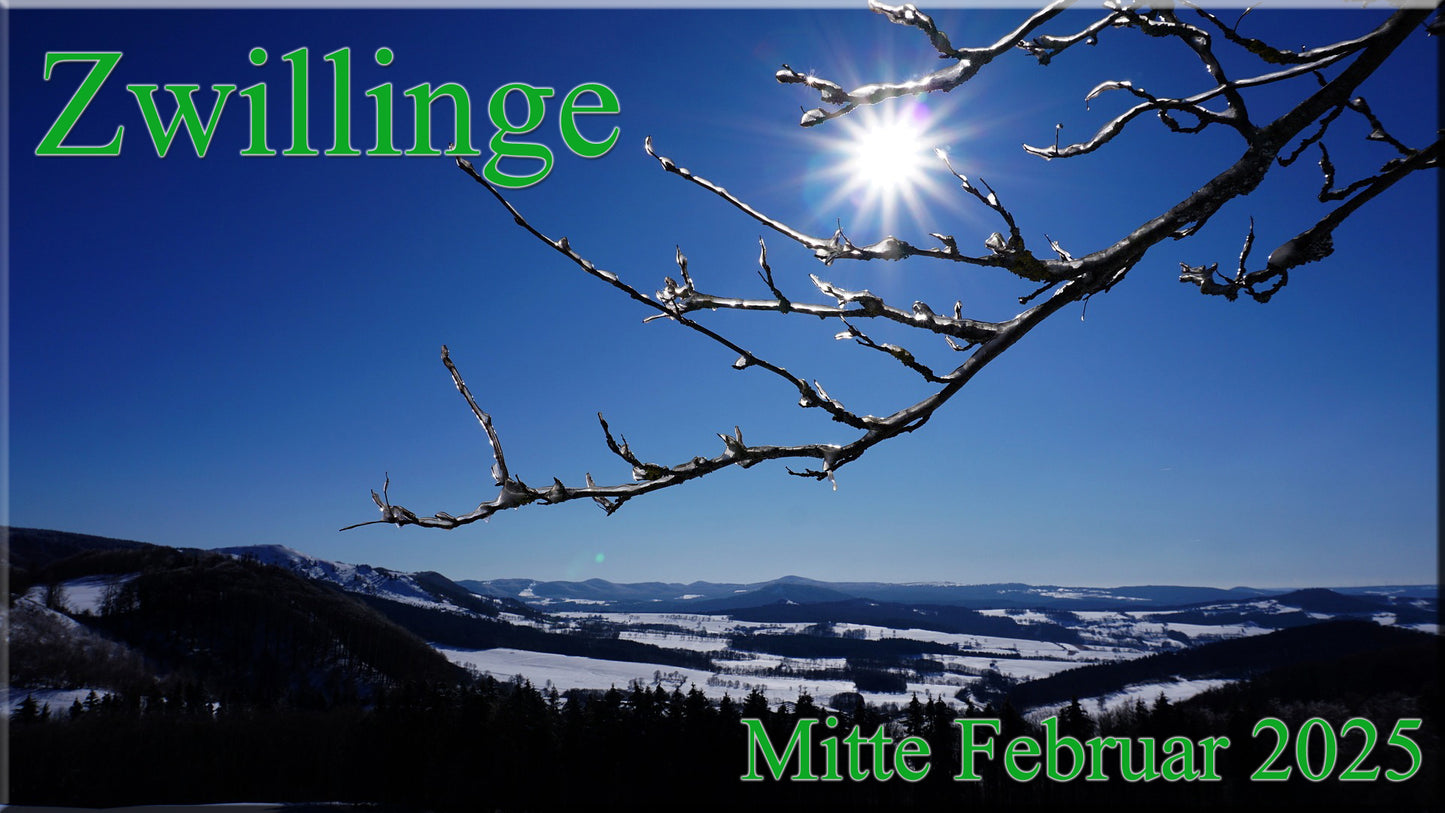♊ Zwillinge - Mitte Februar 2025 ♊